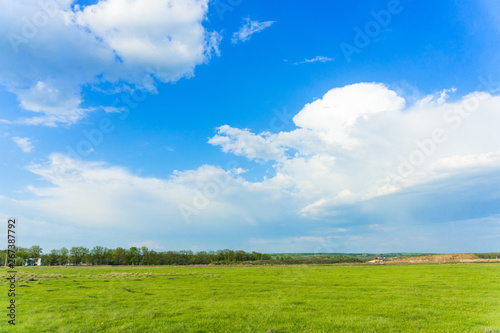 landscape of juicy green grass and blue sky