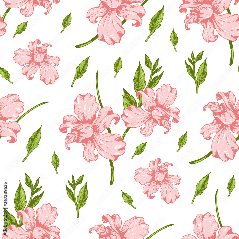 Pattern with pink orchid flowers
