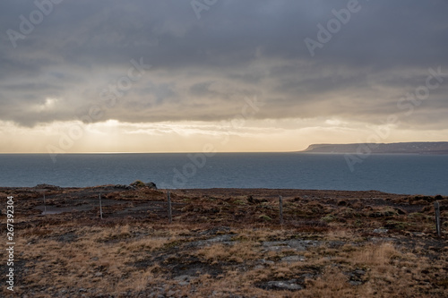 Icelandshore