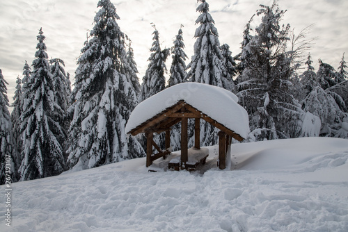 winter scenery with shelter, snow and spruce trees - Girova hill summit near Mosty u Jablunkova in Czech republic