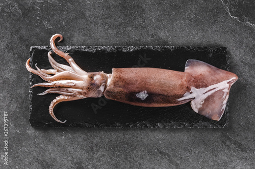 Bilde på lerret Fresh raw whole squid on slate stone on dark stone background