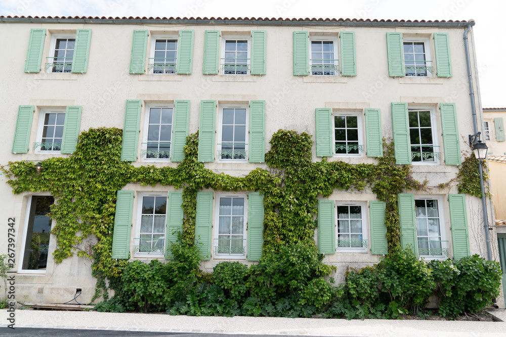 Old white House green shutter in saint martin ile de re, france