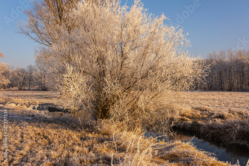 winterliche landschaft © Michael