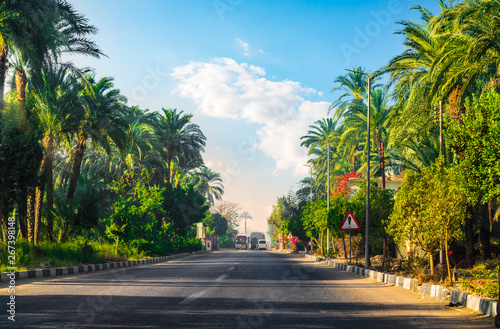 Road along of Nile