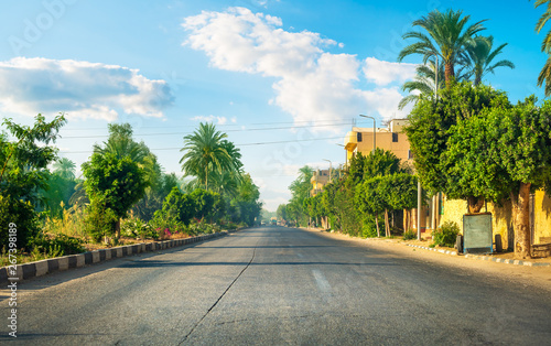 Road among palm © Givaga