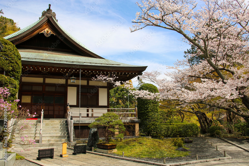 Hokokuji temple (Take-dera temple) is an ancient Buddhist temple in Kamakura, Japan. Hokokuji temple (Take-dera temple) is an ancient Buddhist temple in Kamakura, Japan.