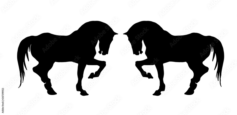 vector isolated prancing silhouettes, black horses on a white background vector isolated prancing silhouettes, black horses on a white background