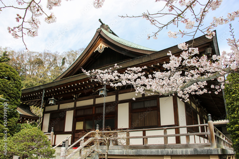 Hokokuji temple (Take-dera temple) is an ancient Buddhist temple in Kamakura, Japan. Hokokuji temple (Take-dera temple) is an ancient Buddhist temple in Kamakura, Japan.