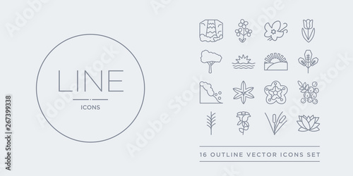 16 line vector icons set such as protea, reed, rose, rosemary, rowan contains sakura, sisyrinchium, snowslide, spear shaped. protea, reed, rose from nature outline icons. thin, stroke elements