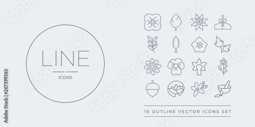 16 line vector icons set such as natural medical pills, neroli, nymphea, oak, oleander contains orchid, pansy, peony, peppermint. natural medical pills, neroli, nymphea from nature outline icons.