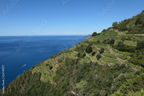 Cinque Terre