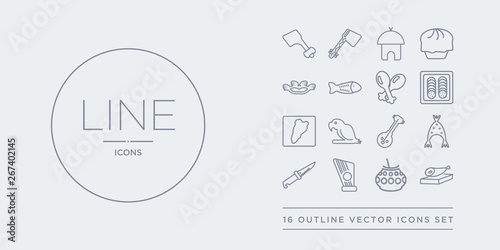 16 line vector icons set such as jam?n serrano, kalabas, kankles, knife in sheath, kokoshnik contains kora, macaw on a branch, maletsunyane, mantecados. jam?n serrano, kalabas, kankles from spanish