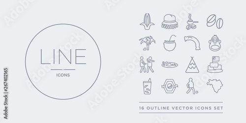 16 line vector icons set such as brazil map, brazil soccer player, brazil team shield, caipirinha drink glass of cake with a flag contains calumet, cantonese fish, capoeira dancers, chimp face of