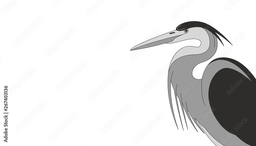 Obraz premium cartoon heron, vector illustration,flat style,profile