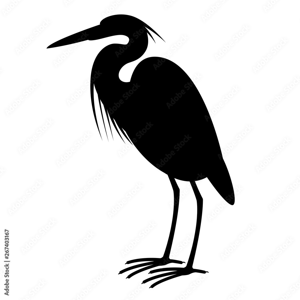 Obraz premium heron, vector illustration,profile side, silhouette