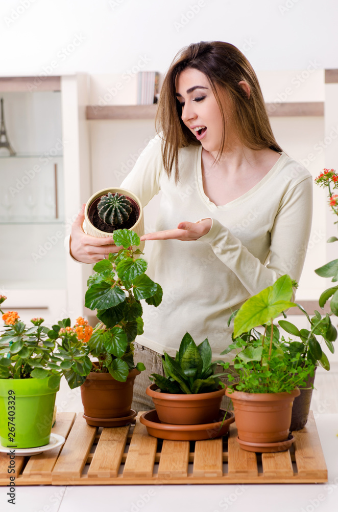 Young female gardener with plants indoors Young female gardener with plants indoors