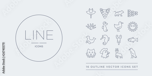 16 line vector icons set such as raven, roe, rooster, sable, salmon contains scorpion, sea horse, sea lion, sea urchin. raven, roe, rooster from animals outline icons. thin, stroke elements
