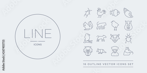 16 line vector icons set such as ant eater, ape, armadillo, baboon, bedbug contains bison, calf, canary, capybara. ant eater, ape, armadillo from animals outline icons. thin, stroke elements