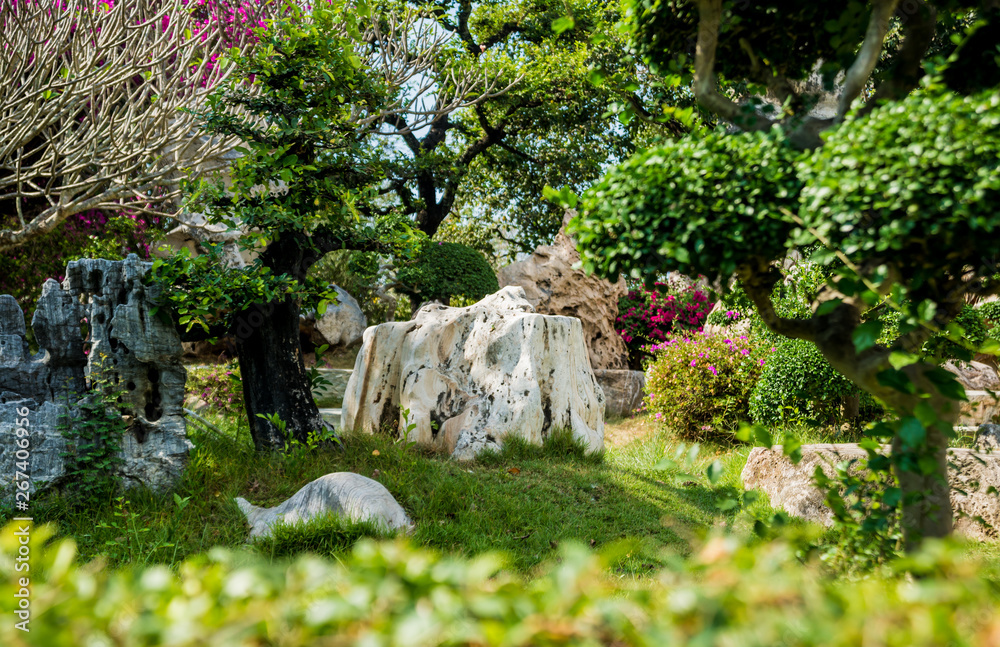 Luxury landscape design of the tropical garden. Beautiful view of tropical landscape Luxury landscape design of the tropical garden. Beautiful view of tropical landscape