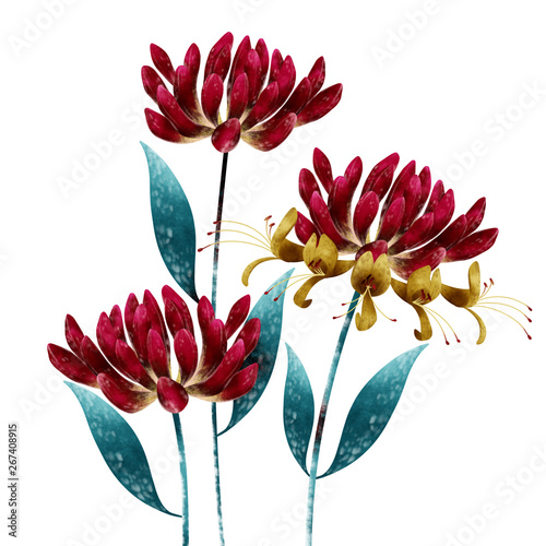 Red Honeysuckle flower