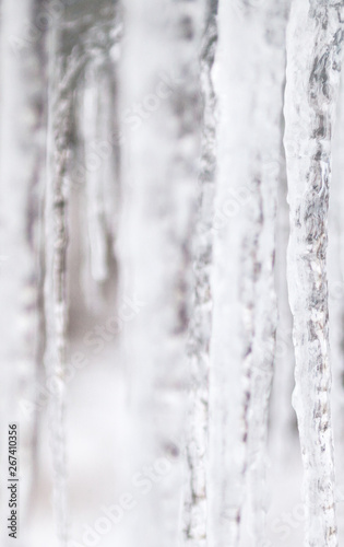 Long thin icicles. Close-up