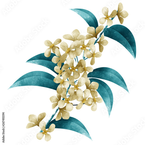 Fragrant Olive Flower