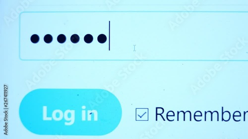 Enter the password for the website in the Internet. Encryption screen With flashing cursor.