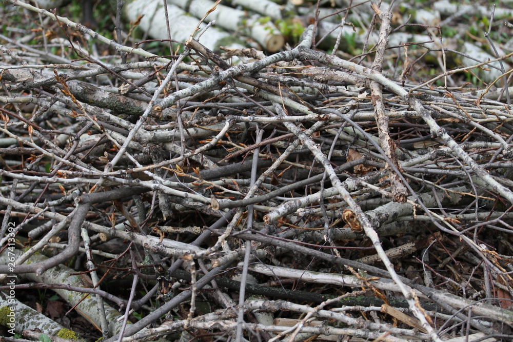 Close up heap of dry wooden branches on the spring time. Close up heap of dry wooden branches on the spring time.