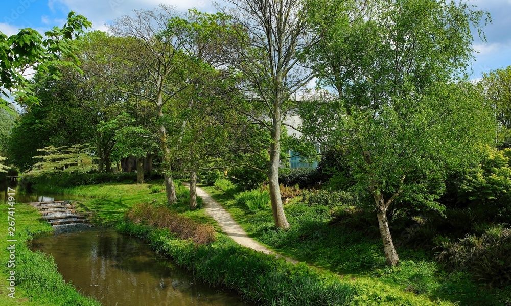 Fototapeta premium Park with green trees with water and footpath