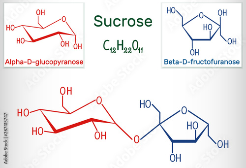Sucrose sugar molecule. Structural chemical formula and molecule model photo