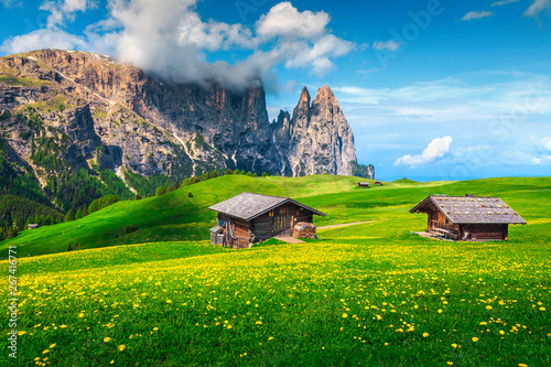 Alpe di Siusi resort and spring yellow dandelions, Dolomites, Italy