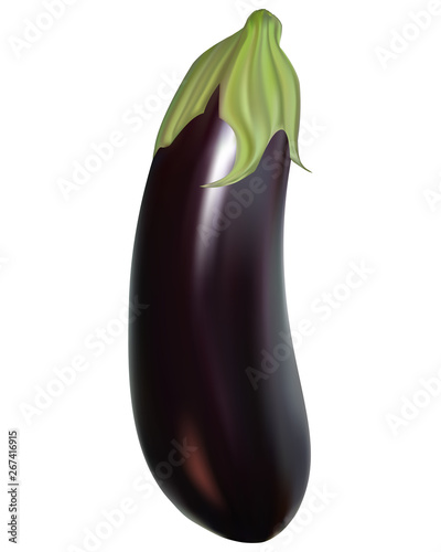 Photo realistic vector eggplant transparent background (mesh technique)