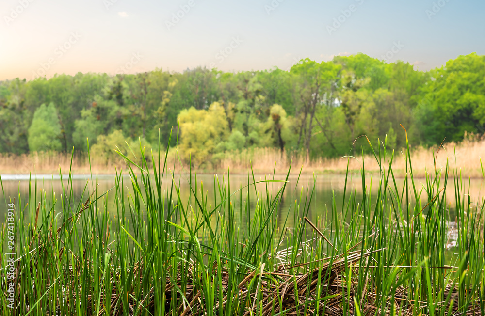 River in cloudy evening