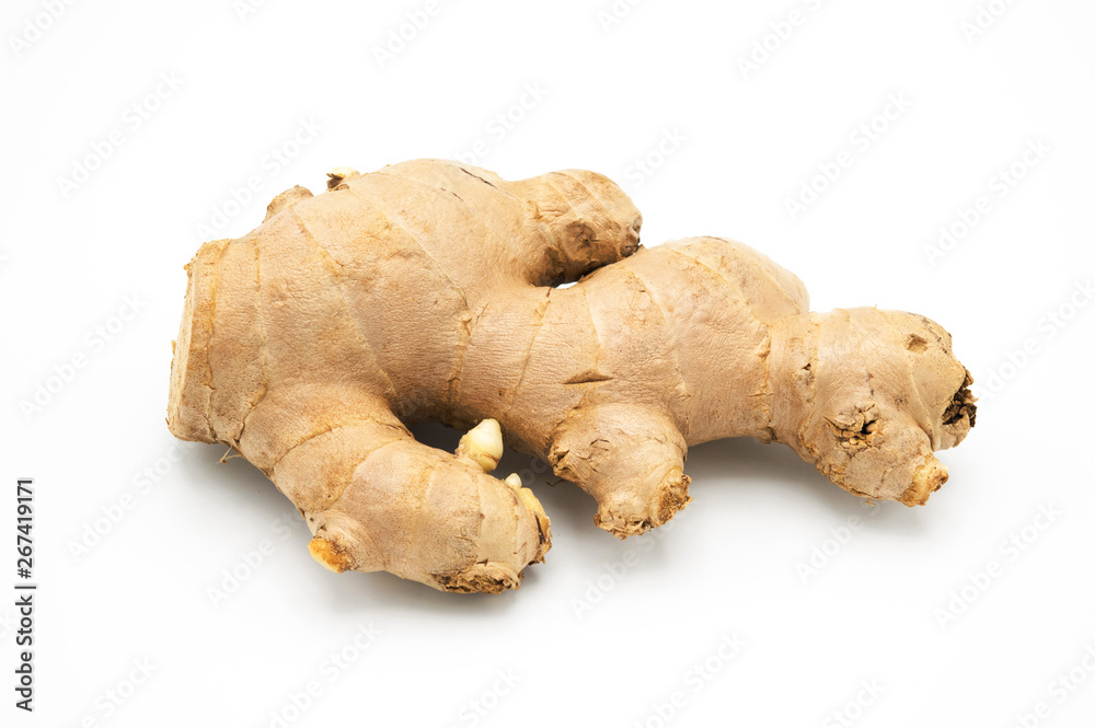 Ginger on isolated background Ginger on isolated background
