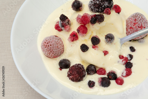 Un plato de helado de vainilla con frutos rojos.