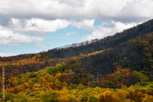 Fall View in Great Smoky Mountains National Park on the Border of Tennessee and North Carolina   © Alisha