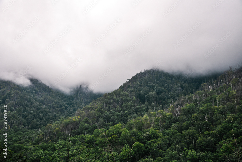 Cloudy Day in Great Smoky Mountains National Park on the Border of Tennessee and North Carolina Cloudy Day in Great Smoky Mountains National Park on the Border of Tennessee and North Carolina