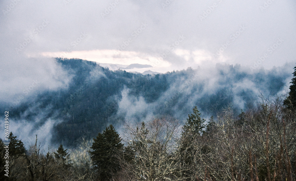 Fototapeta premium Cloudy Day in Great Smoky Mountains National Park on the Border of Tennessee and North Carolina 