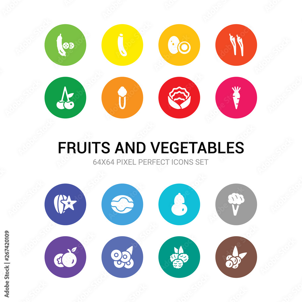 16 fruits and vegetables vector icons set included berries, blackberry, berries, breast milk fruit, broccoli, butternut squash, cabbage, carambola, carrots, cauliflower, celery icons 16 fruits and vegetables vector icons set included berries, blackberry, berries, breast milk fruit, broccoli, butternut squash, cabbage, carambola, carrots, cauliflower, celery icons