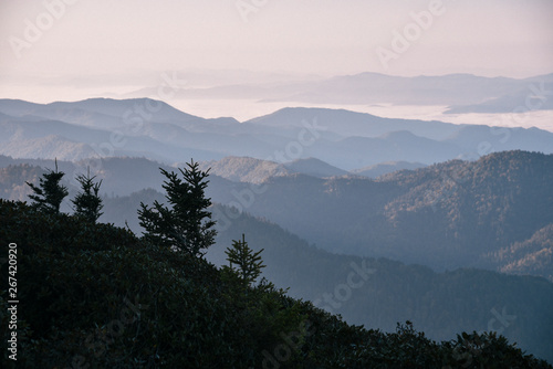 Mount Le Conte in Great Smoky Mountains National Park on the Border of Tennessee and North Carolina   © Alisha