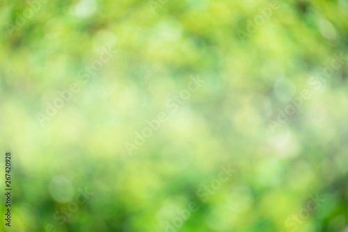 Greenery abstract background. Blurred and defocus effect for spring concept design .