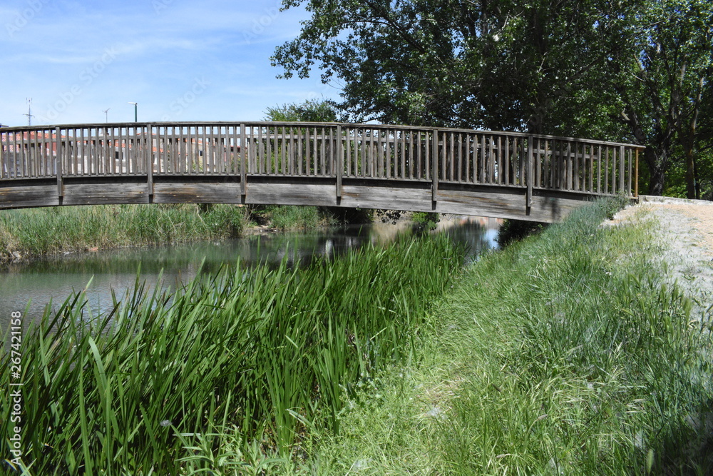 Puente sobre el canal