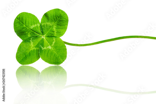 Vierblättriges Kleeblatt