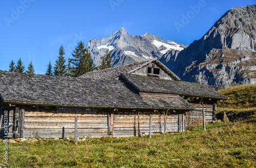 Mountain town in Grindelwald, Switzerland