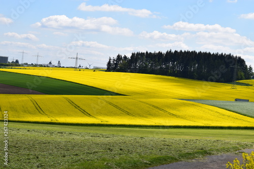 Eifellandschaft im Frühlin photo