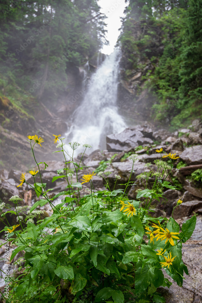 Obraz premium large rohache waterfall in spring. slovakia