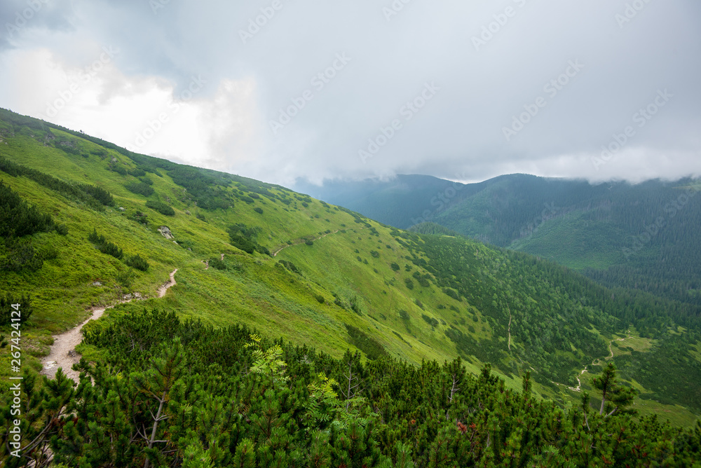 hiking trails in slovakia in rainy summer day