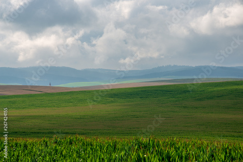 endless fields of corn under foggy sky with rain clouds © Martins Vanags