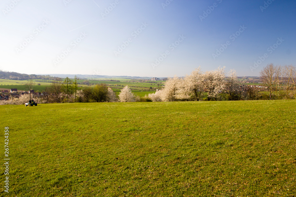 Spring rural landscape in village
