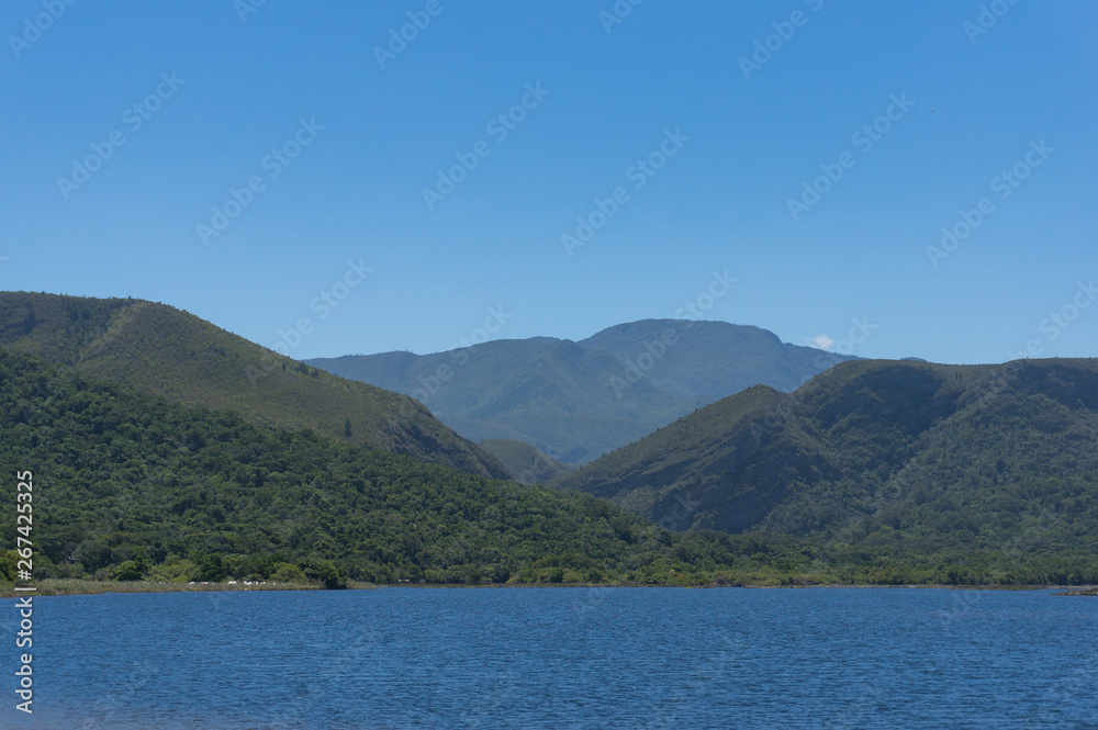 Summer landscape with forest covered mountains and blue water